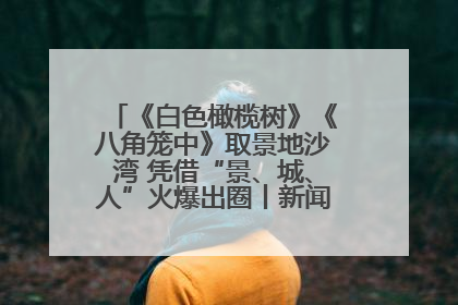 《白色橄榄树》《八角笼中》取景地沙湾 凭借“景、城、人”火爆出圈丨新闻发布最前线