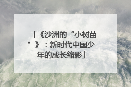 《沙洲的“小树苗”》：新时代中国少年的成长缩影