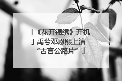 《花开锦绣》开机 丁禹兮邓恩熙上演“古言公路片”