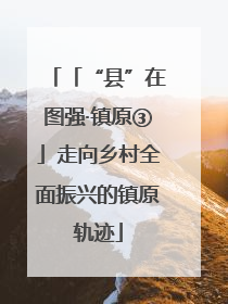 「“县”在图强·镇原③」走向乡村全面振兴的镇原轨迹