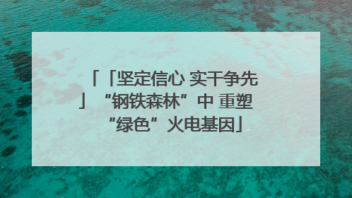 「坚定信心 实干争先」“钢铁森林”中 重塑“绿色”火电基因