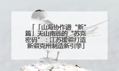 「山海协作谱“新”篇」天山南簏的“苏克密码”：江苏援疆打造新疆克州制造新引擎