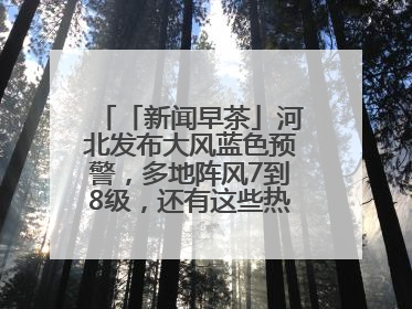 「新闻早茶」河北发布大风蓝色预警，多地阵风7到8级，还有这些热点……