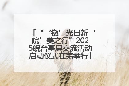 “‘徽’光日新‘皖’美之行”2025皖台基层交流活动启动仪式在芜举行