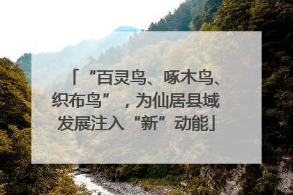 “百灵鸟、啄木鸟、织布鸟”，为仙居县域发展注入“新”动能