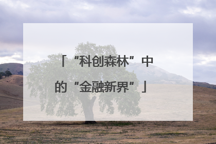 “科创森林”中的“金融新界”
