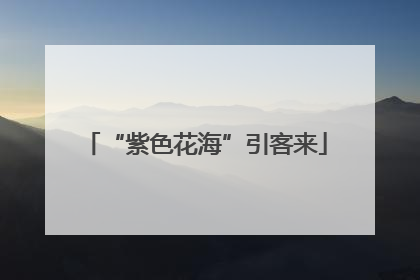 “紫色花海”引客来