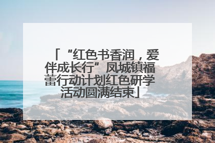“红色书香润，爱伴成长行”凤城镇福蕾行动计划红色研学活动圆满结束