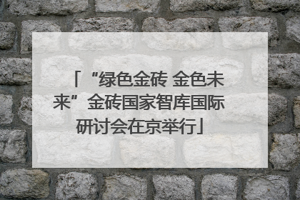 “绿色金砖 金色未来”金砖国家智库国际研讨会在京举行