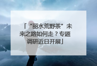 “丽水荒野茶”未来之路如何走？专题调研近日开展