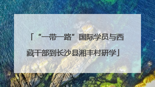 “一带一路”国际学员与西藏干部到长沙县湘丰村研学