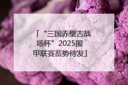 “三国赤壁古战场杯”2025围甲联赛蓄势待发