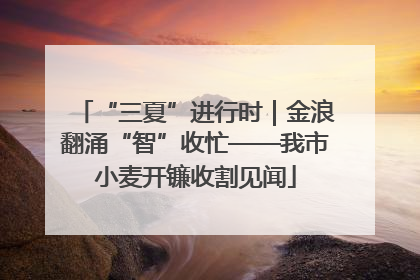 “三夏”进行时｜金浪翻涌“智”收忙——我市小麦开镰收割见闻