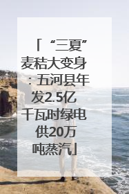 “三夏”麦秸大变身：五河县年发2.5亿千瓦时绿电 供20万吨蒸汽