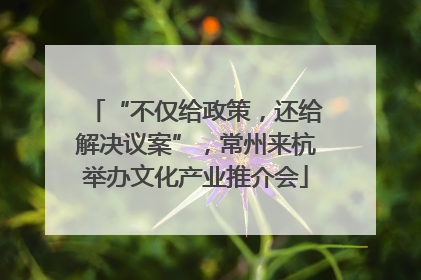 “不仅给政策，还给解决议案”，常州来杭举办文化产业推介会