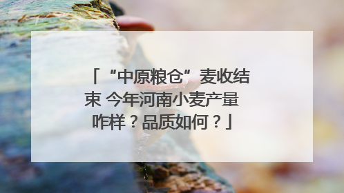 “中原粮仓”麦收结束 今年河南小麦产量咋样？品质如何？