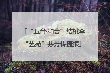 “五育·和合”结桃李 “艺苑”芬芳传捷报