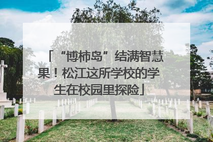 “博柿岛”结满智慧果！松江这所学校的学生在校园里探险
