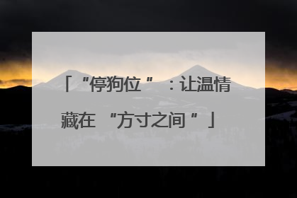 “停狗位 ”：让温情藏在 “方寸之间 ”
