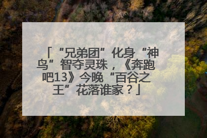 “兄弟团”化身“神鸟”智夺灵珠，《奔跑吧13》今晚“百谷之王”花落谁家？