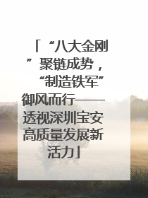 “八大金刚”聚链成势，“制造铁军”御风而行——透视深圳宝安高质量发展新活力