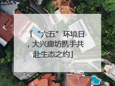 “六五”环境日，大兴廊坊携手共赴生态之约