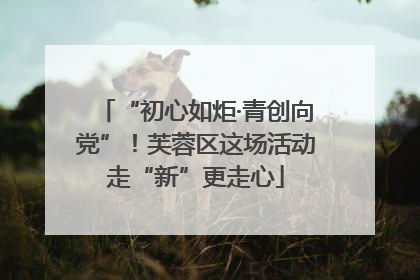 “初心如炬·青创向党”！芙蓉区这场活动走“新”更走心