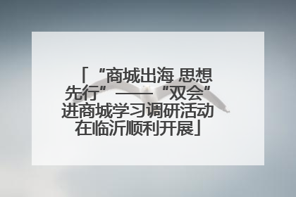 “商城出海 思想先行”——“双会”进商城学习调研活动在临沂顺利开展