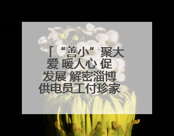 “善小”聚大爱 暖人心 促发展 解密淄博供电员工付珍家庭的文明密码