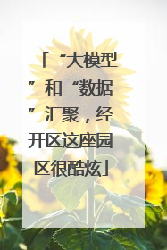 “大模型”和“数据”汇聚，经开区这座园区很酷炫