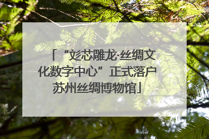 “彣芯雕龙·丝绸文化数字中心”正式落户苏州丝绸博物馆
