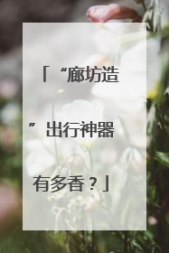 “廊坊造”出行神器有多香？