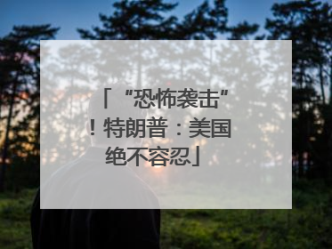 “恐怖袭击”！特朗普：美国绝不容忍