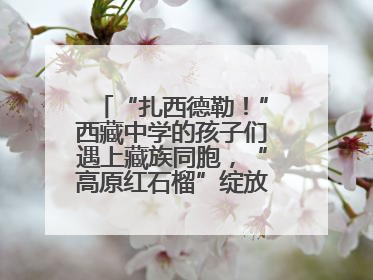 “扎西德勒！”西藏中学的孩子们遇上藏族同胞，“高原红石榴”绽放荆楚大地
