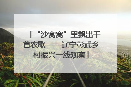“沙窝窝”里飘出千首农歌——辽宁彰武乡村振兴一线观察