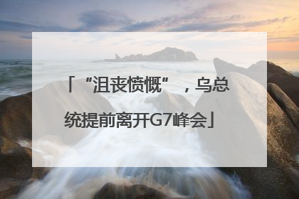 “沮丧愤慨”，乌总统提前离开G7峰会