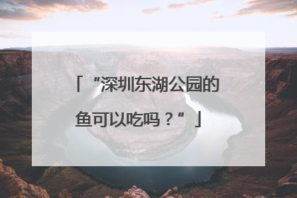 “深圳东湖公园的鱼可以吃吗？”