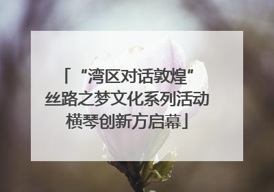 “湾区对话敦煌” 丝路之梦文化系列活动横琴创新方启幕