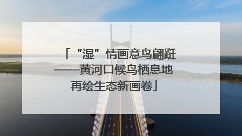 “湿”情画意鸟翩跹——黄河口候鸟栖息地再绘生态新画卷