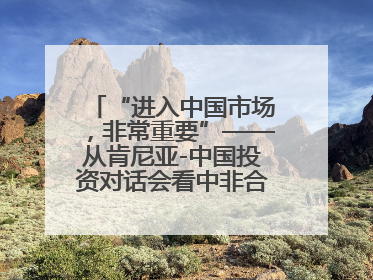 “进入中国市场，非常重要”——从肯尼亚-中国投资对话会看中非合作机遇