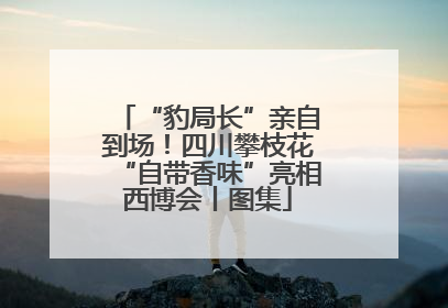 “豹局长”亲自到场！四川攀枝花“自带香味”亮相西博会丨图集