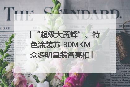 “超级大黄蜂”、特色涂装苏-30MKM 众多明星装备亮相