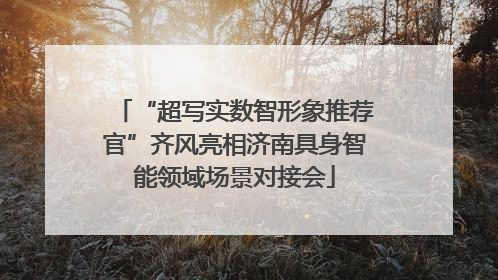 “超写实数智形象推荐官”齐风亮相济南具身智能领域场景对接会
