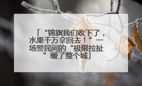 “锦旗我们收下了，水果千万拿回去！”一场警民间的“极限拉扯”暖了整个城