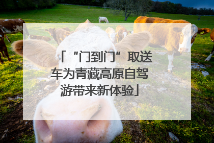 “门到门”取送车为青藏高原自驾游带来新体验