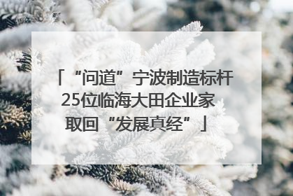 “问道”宁波制造标杆 25位临海大田企业家取回“发展真经”