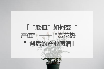 “颜值”如何变“产值”——“赏花热”背后的产业图谱