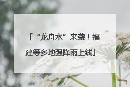 “龙舟水”来袭！福建等多地强降雨上线