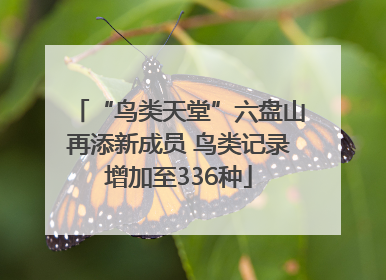 “鸟类天堂”六盘山再添新成员 鸟类记录增加至336种