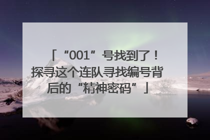“001”号找到了！探寻这个连队寻找编号背后的“精神密码”